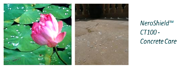 Lotus Effect Lotus Effect